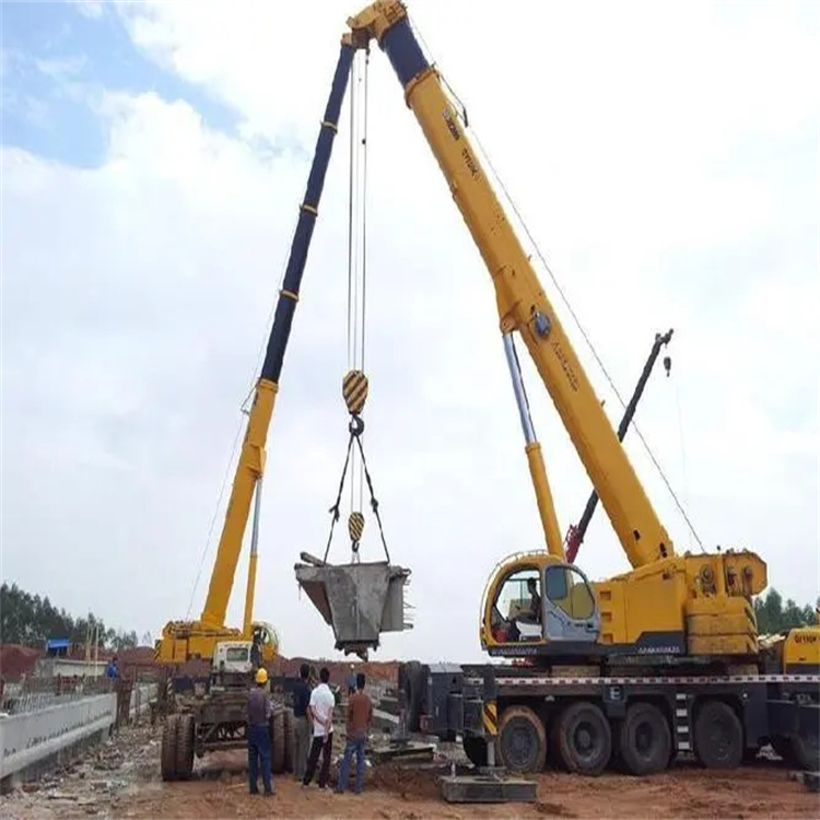 天等小型吊机出租电话|厂房设备吊装方案|24小时服务覆盖