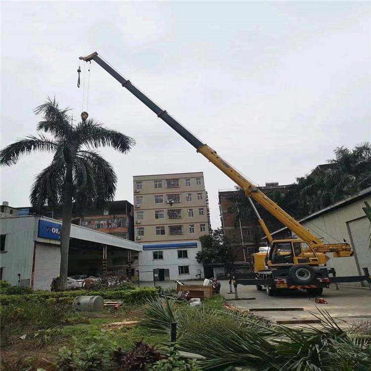 天等吊车吊大树几种方法